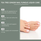 Soin des Ongles au Gingembre & Arbre à Thé Pour Ongles Jaunis, Décolorés ou Épaissis - Traitement Express 7 Jours - 1 acheté = 1 offert