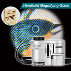 Loupe de Poche 60X avec LED – Mini Microscope Portable pour Bijoux, Devises et Inspection de Précision
