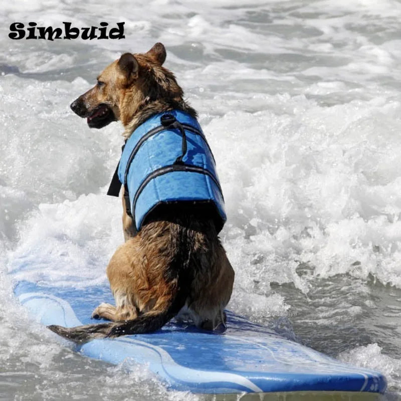 Gilet de Sauvetage pour Chien – Réfléchissant, Réglable et Conçu pour une Flottabilité Optimale