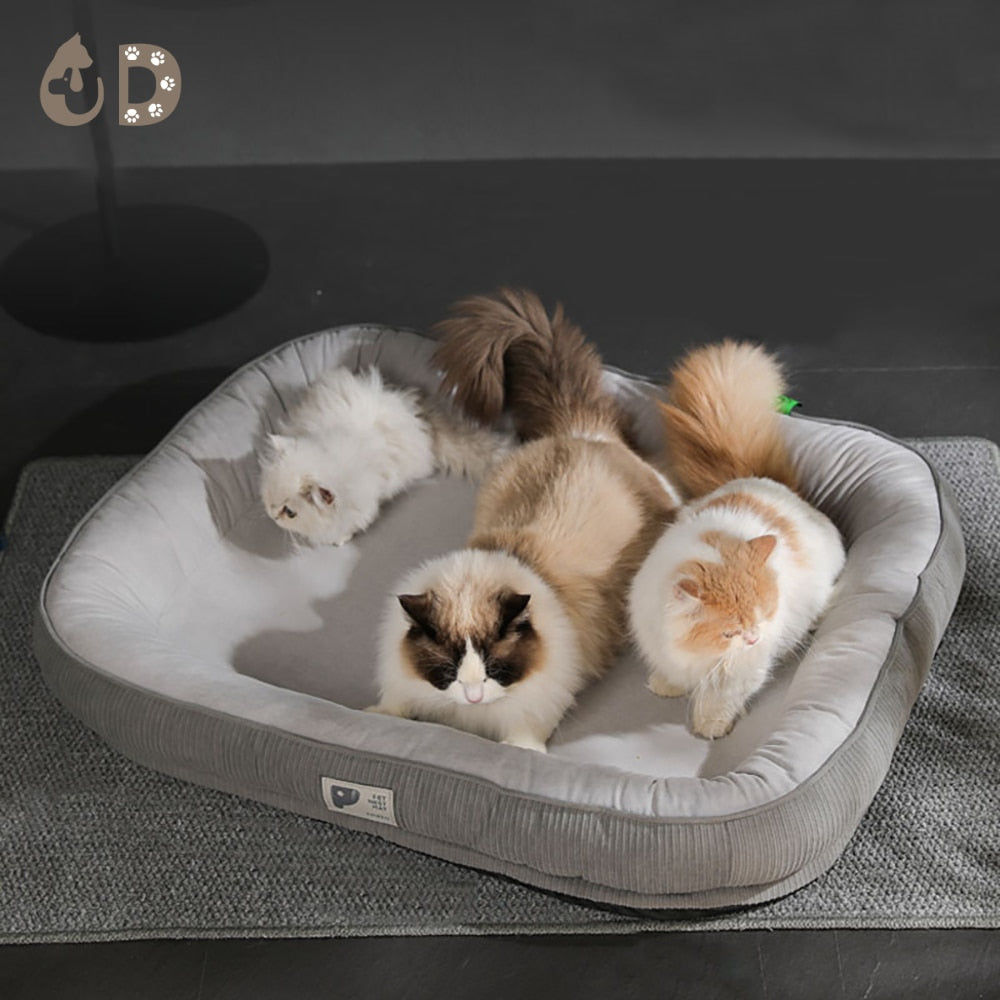 CozyTendance