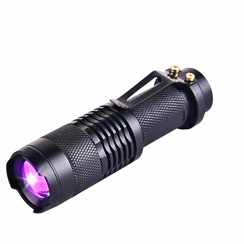 Lampe UV Détecteur Urine et Parasites