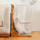 2 en 1 Grattoir + Jeu Intégré