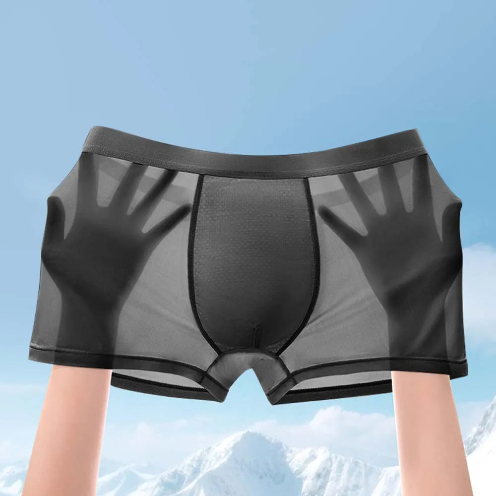 Lot de 5 boxers en soie glacée