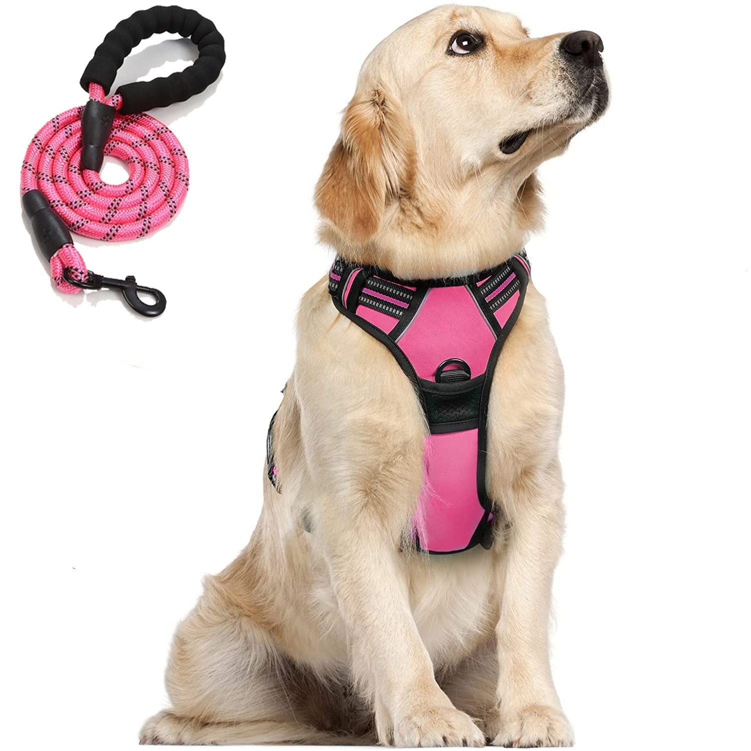 Harnais + Laisse Chien