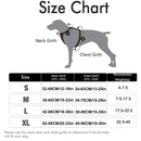 Harnais + Laisse Chien