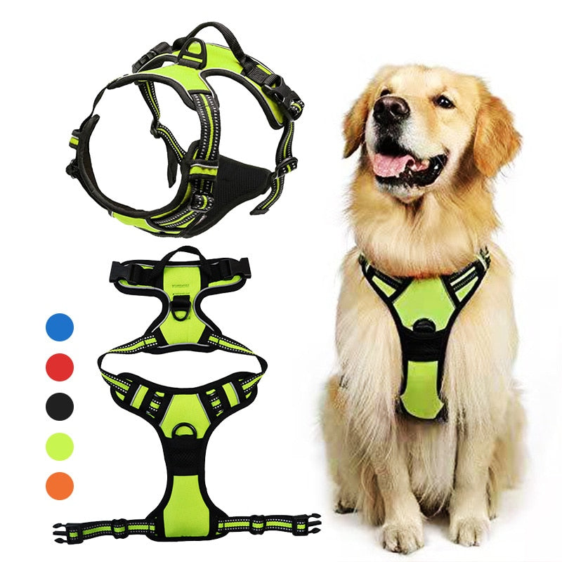 Harnais + Laisse Chien