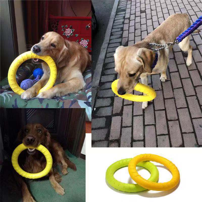 2 x Anneau Résistant Gros Chien