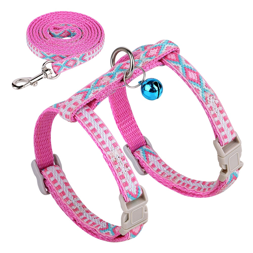 Ultra-Resistant Nylon Harness and Leash