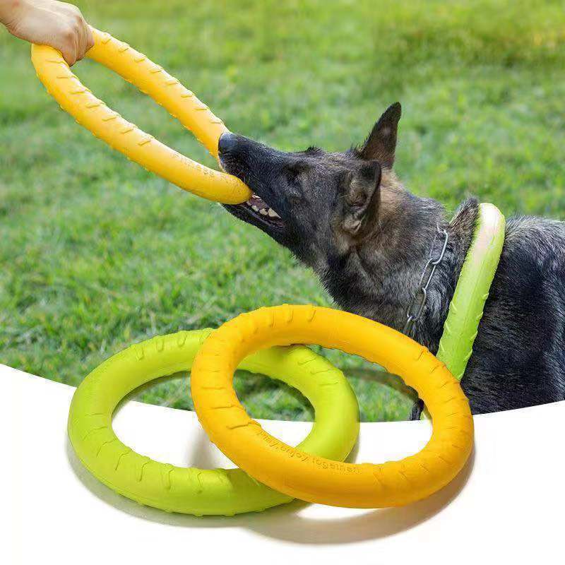 2 x Anneau Résistant Gros Chien
