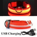 Collier avec éclairage LED waterproof - USB rechargeable