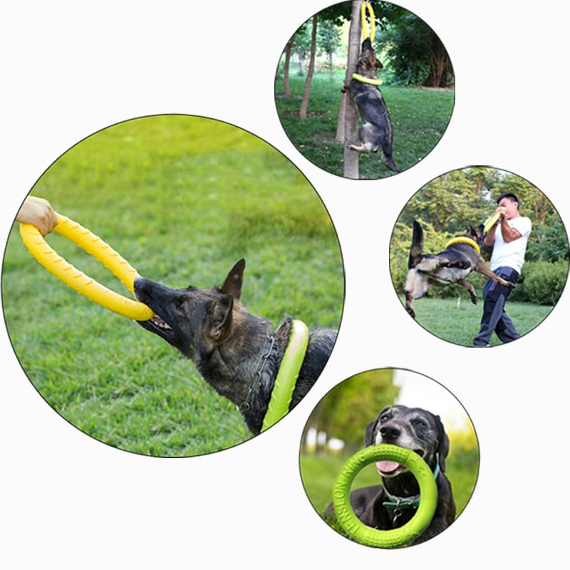2 x Anneau Résistant Gros Chien