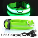 Collier avec éclairage LED waterproof - USB rechargeable
