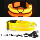 Collier avec éclairage LED waterproof - USB rechargeable