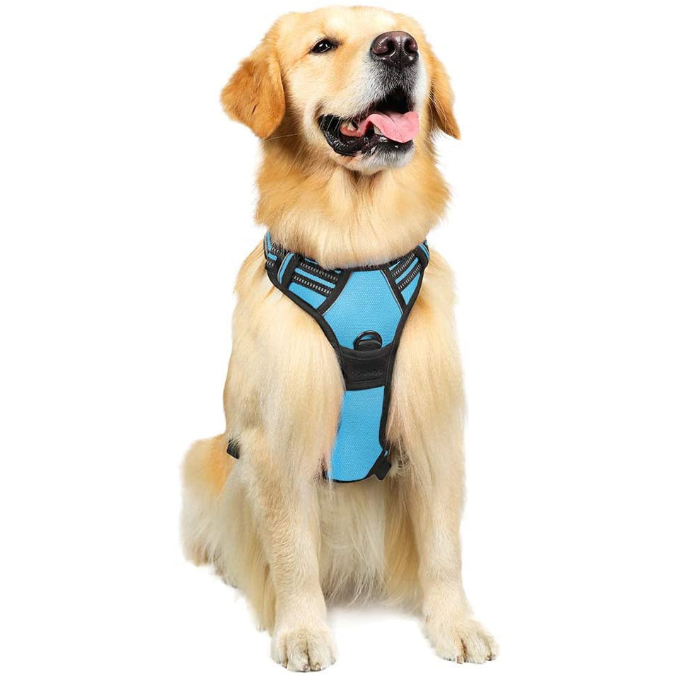 Harnais + Laisse Chien