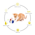 COCO Laser interactif
