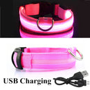 Collier avec éclairage LED waterproof - USB rechargeable