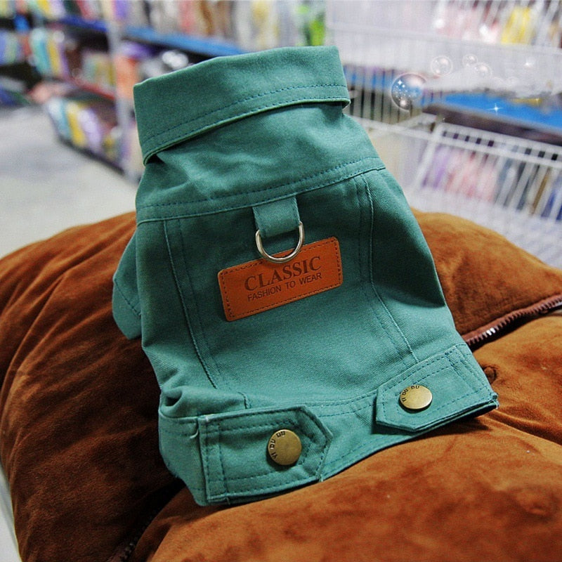 Harnais Veste