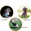 Harnais de Levage - Chiens Agés