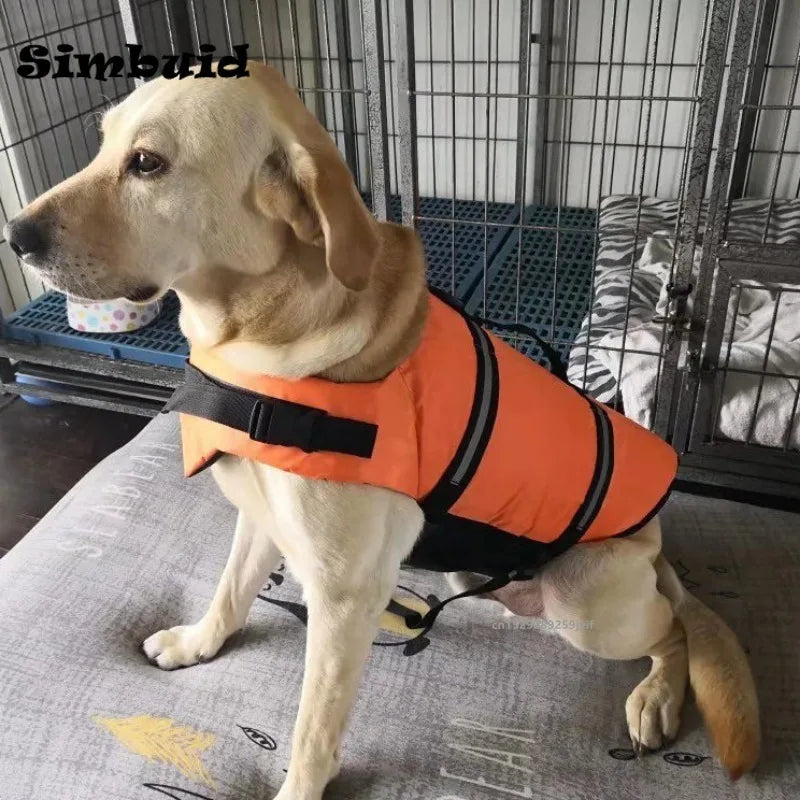 Gilet de Sauvetage pour Chien – Réfléchissant, Réglable et Conçu pour une Flottabilité Optimale