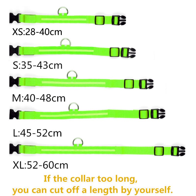 Collier avec éclairage LED waterproof - USB rechargeable