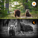 Camera de chasse 1080P - Vision infrarouge