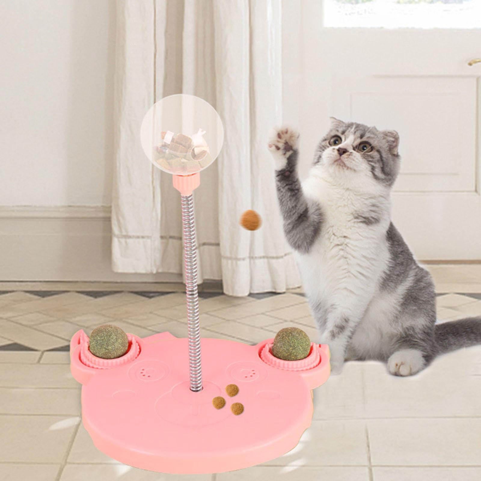 Distributeur de nourriture interactif