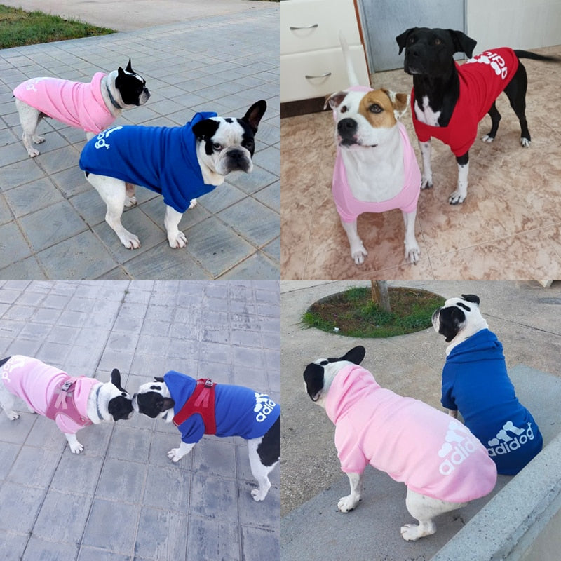 Sweat Adidog Tendance