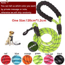 Harnais + Laisse Chien