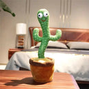 Cactus Chantant
