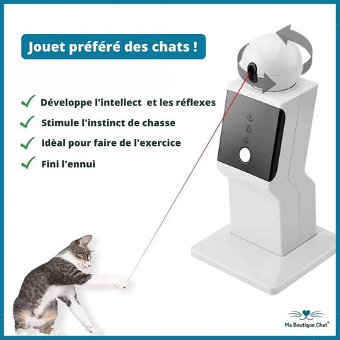 Laser Fou Interactif
