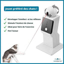 Laser Fou Interactif
