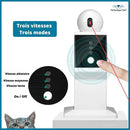 Laser Fou Interactif