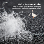 Oreiller d'hôtel de luxe - Coton & Plume d'oie - 1 ACHETÉ = 1 OFFERT