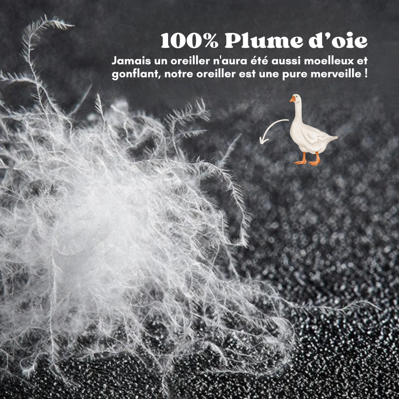 Oreiller d'hôtel de luxe - Coton & Plume d'oie - 1 ACHETÉ = 1 OFFERT
