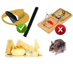 Piège à Rats et Souris avec Trappe intelligente
