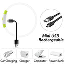 Collier clignotant pour chien