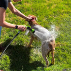 Jet Savonneux Chiens