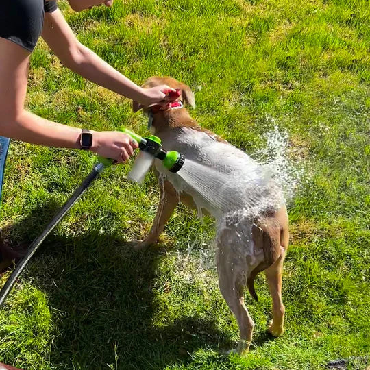 Jet Savonneux Chiens