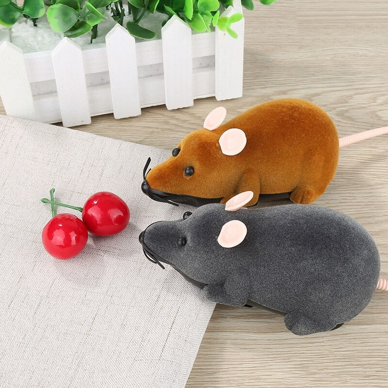 Jouet chat Souris télécommandée