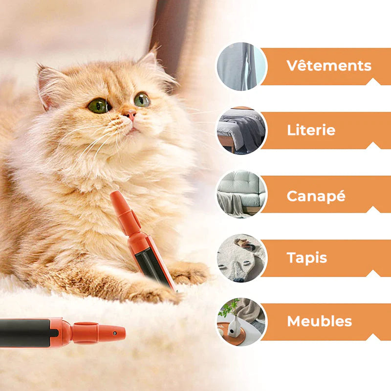Brosse Adhésive Animaux