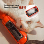 Brosse Adhésive Animaux