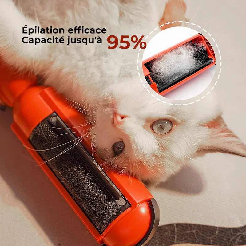 Brosse Adhésive Animaux