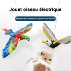 Perroquet Volant pour Chat