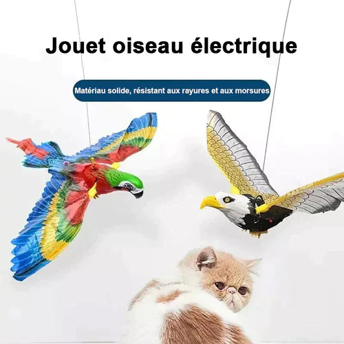 Perroquet Volant pour Chat