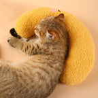 Oreiller pour chat