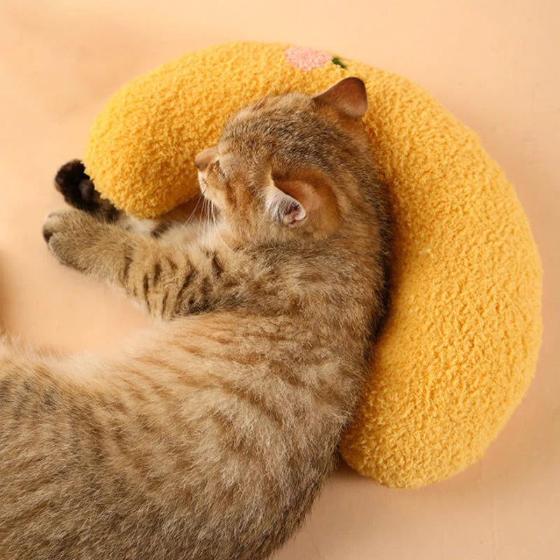 Oreiller pour chat
