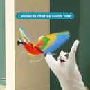 Perroquet Volant pour Chat