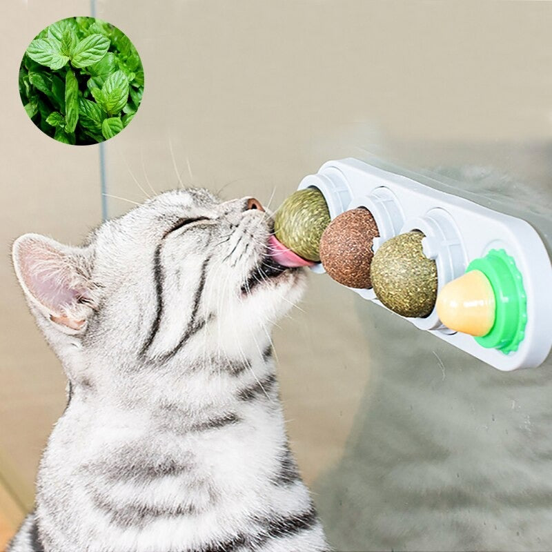 Candycat : Sucette et boules d'herbe à chat
