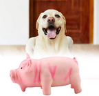 Cochon à mâcher