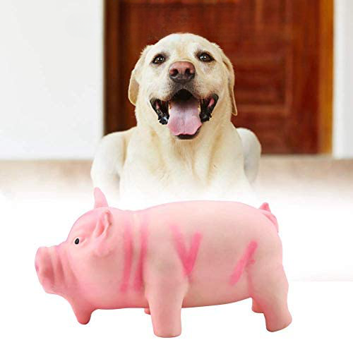 Cochon à mâcher